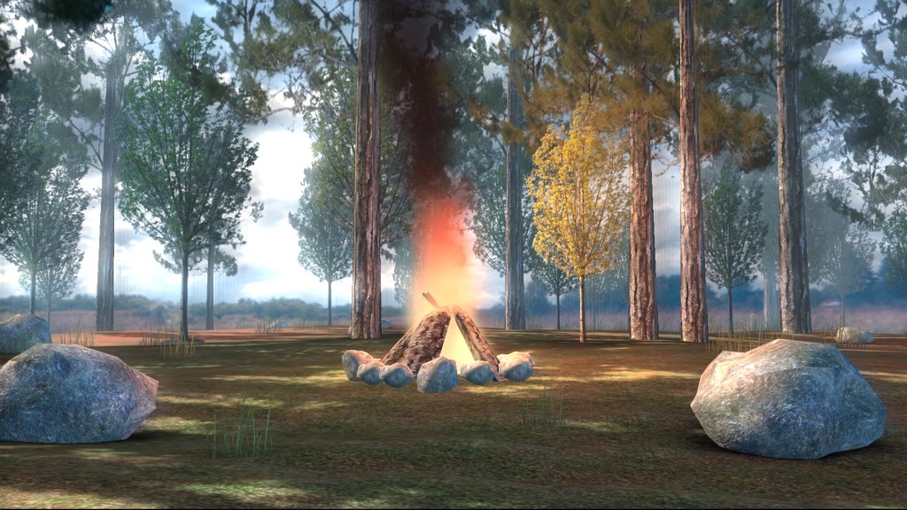 Campfire in Woods BGE preview image 1